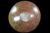 Bargain, Fossil Goniatite Bowl - Stoneware #73759-2